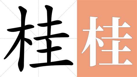 桂的造詞|桂的解释